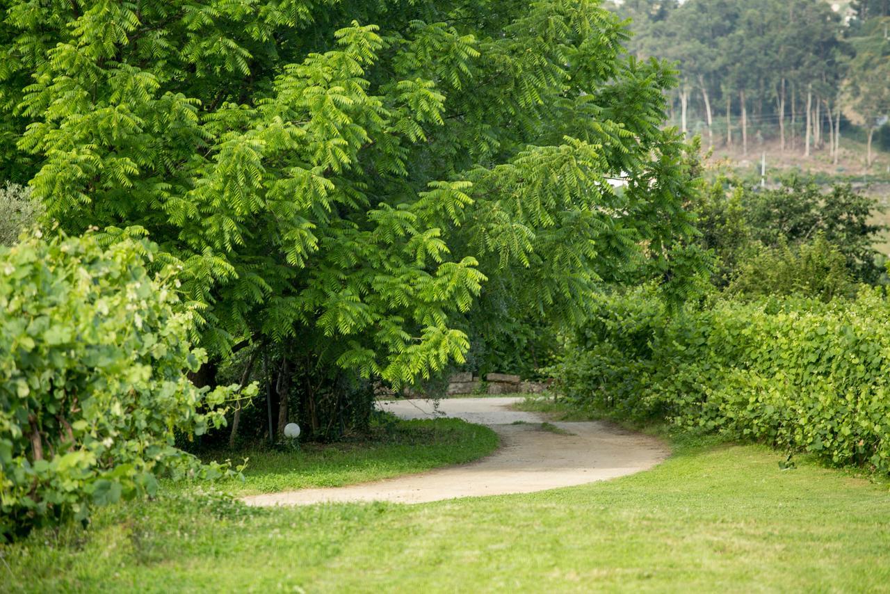 Quinta De Lourosa Guest House Lousada Exterior photo